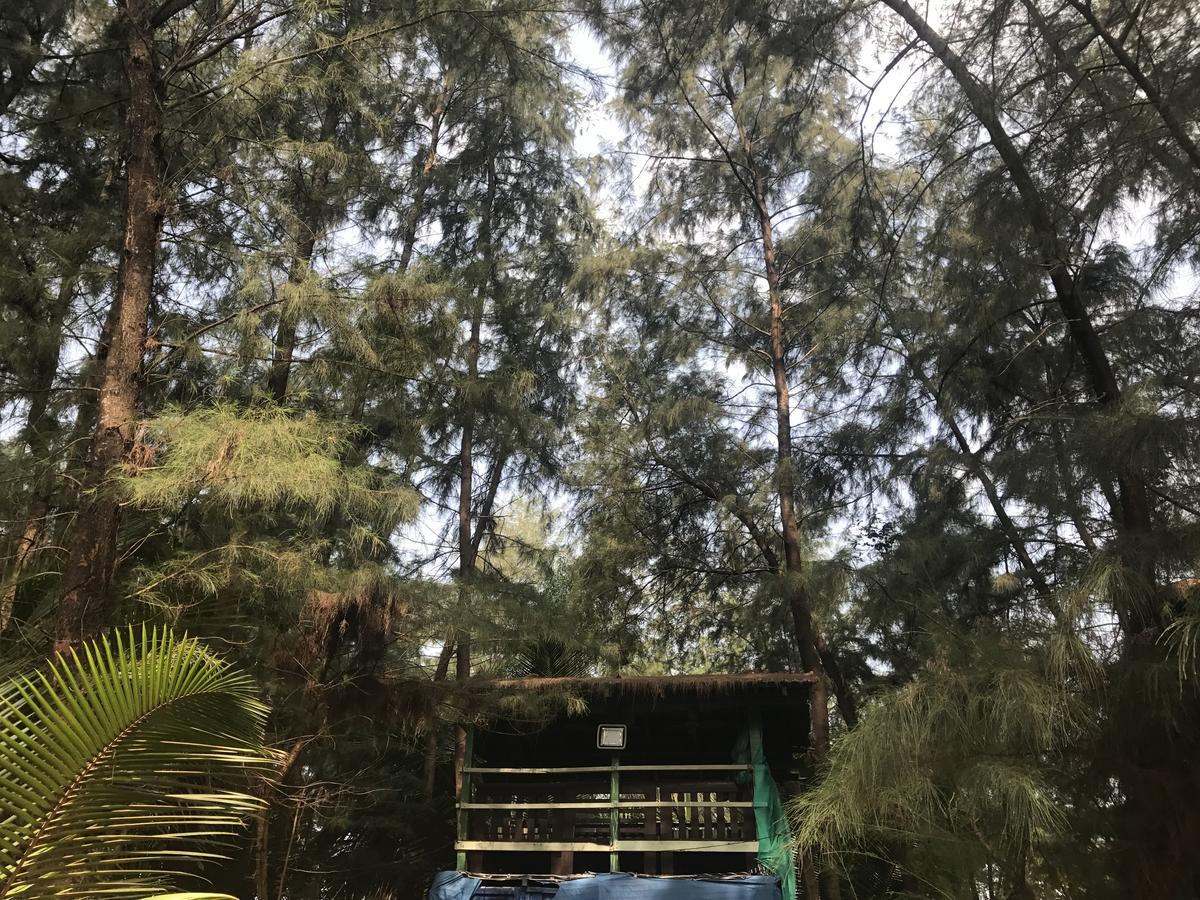 戈卡尔纳 Nirvana Nature酒店 外观 照片